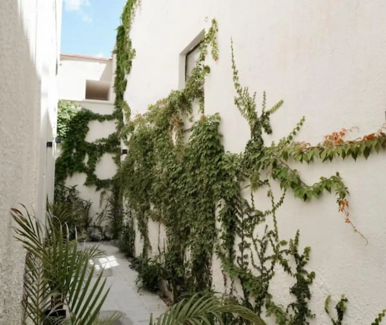 Villa Bonita Casona Enfrente Del Santuario 7 G à Guadalajara 0*,  Mexique